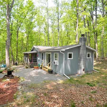 Bear Necessities -Forget Your Worries! Villa Great Cacapon Exterior photo