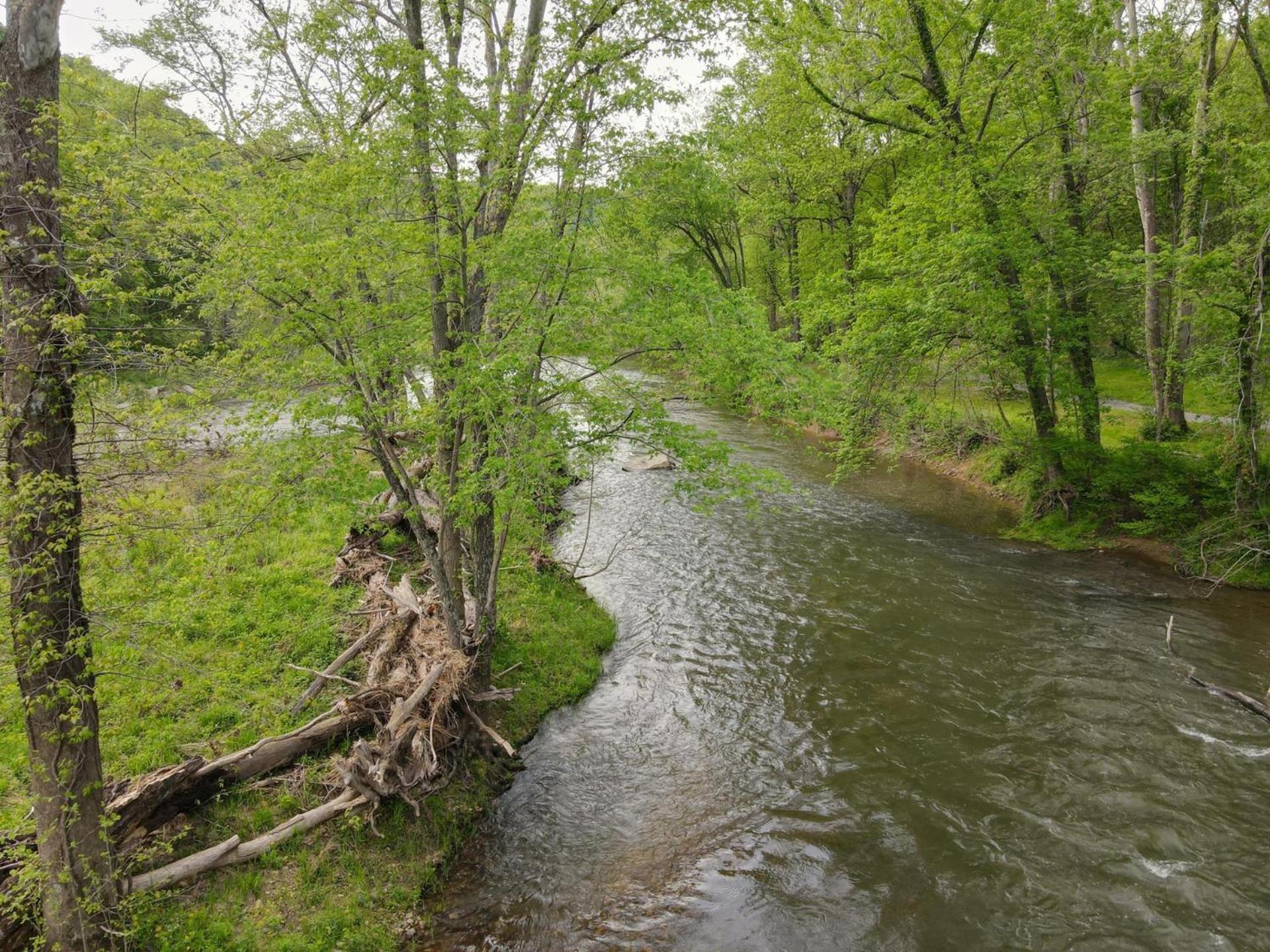 Bear Necessities -Forget Your Worries! Villa Great Cacapon Exterior photo